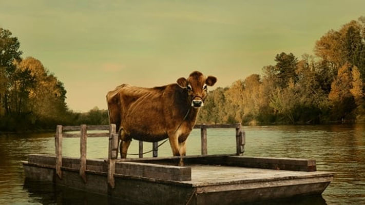 First cow Os esquecidos pelo Oscar