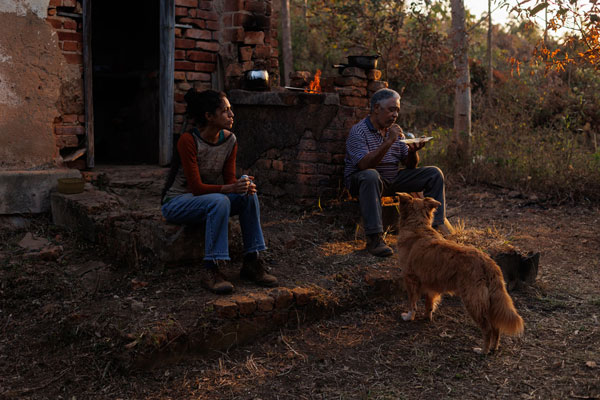 Suçuarana Dora Ernesto e Encrenca
