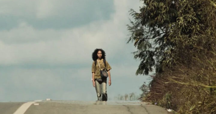 Suçuarana imagem destacada