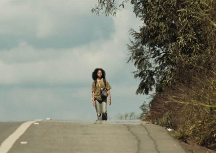 Suçuarana imagem destacada