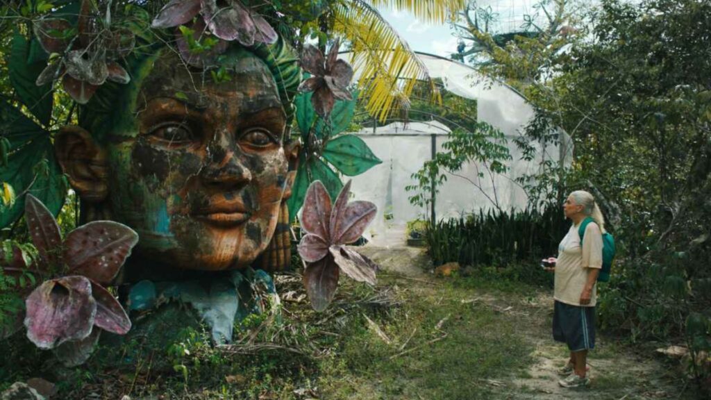 Cenario e fotografia de "O Último Azul" são destaque.