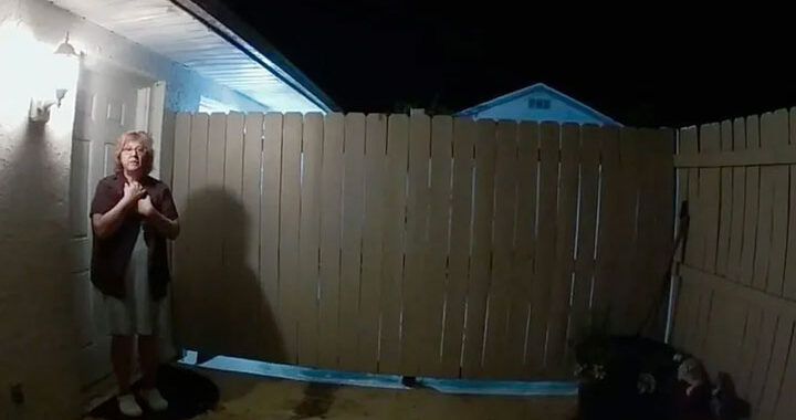 vizinha perfeita destacada