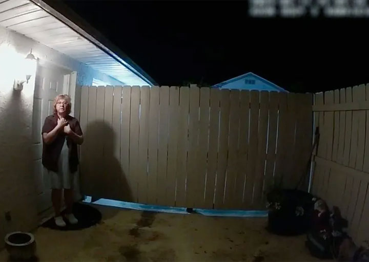 vizinha perfeita destacada