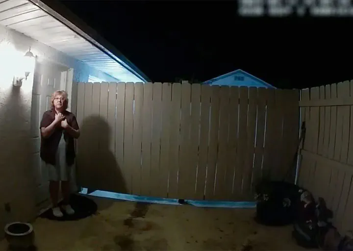 vizinha perfeita destacada